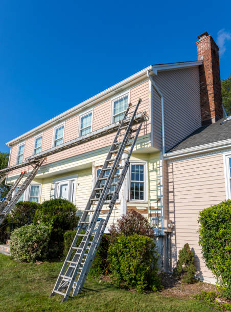 Best Carpet Removal and Disposal  in Mystic Island, NJ